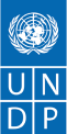 Partners: UNDP logo